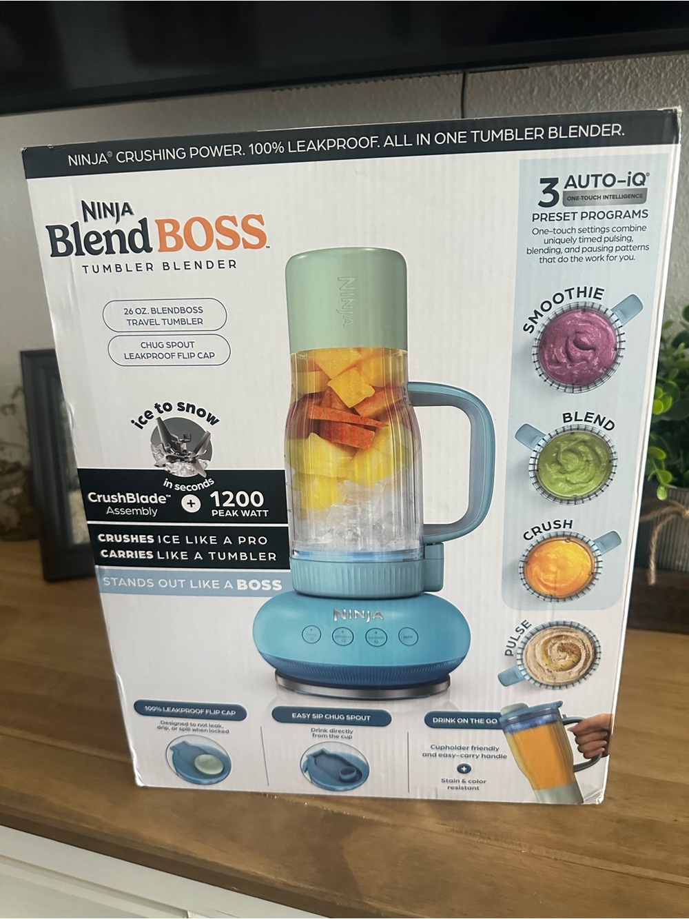 Ninja BlendBOSS Tumbler Blender in Mint Green and Teal